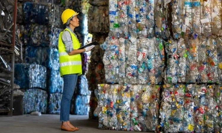 vne-waste-2075-1722830218-1775441946.webp