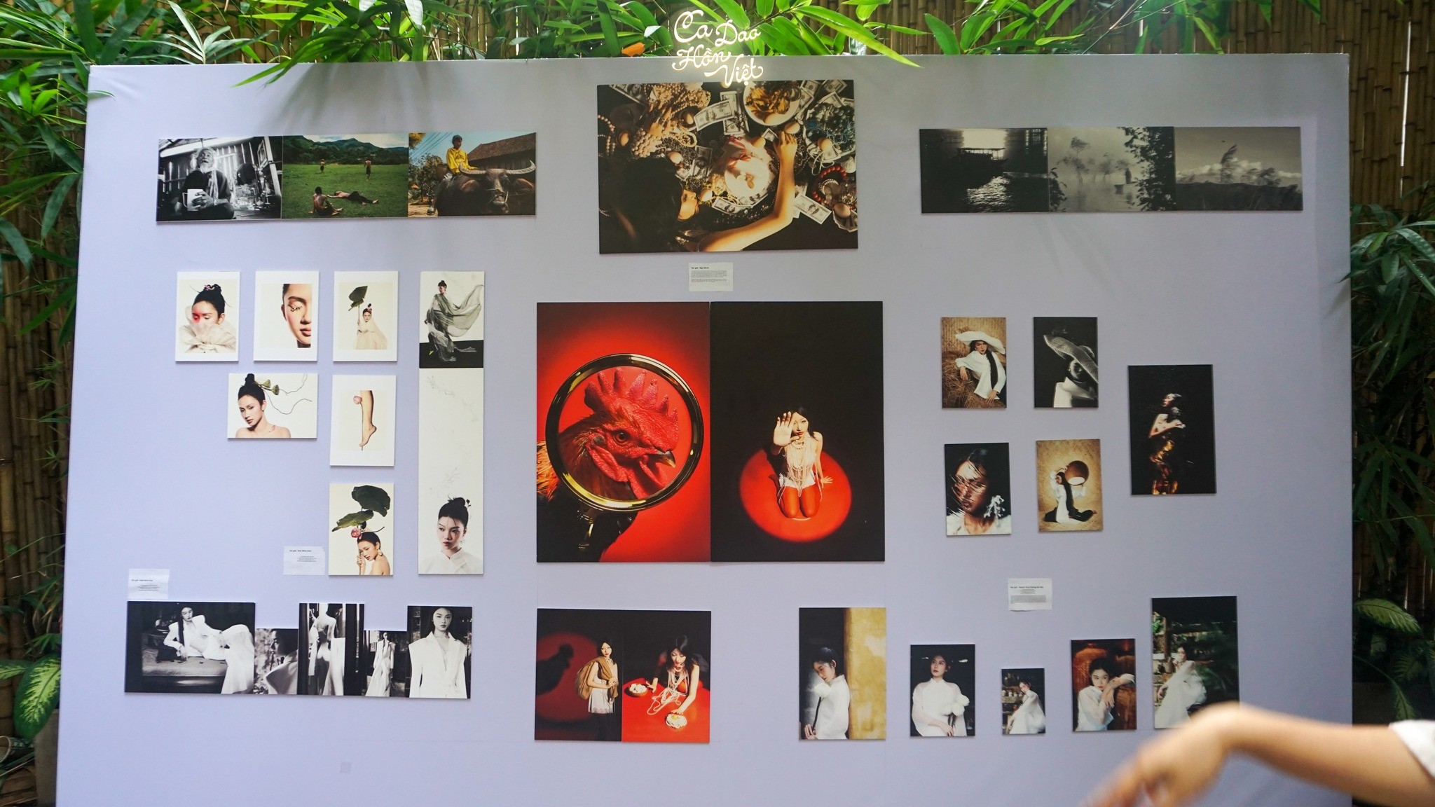 nhung-tac-pham-chien-thang-duoc-treo-tai-buoi-trien-lam-ngoc-troi-1779966226.jpg