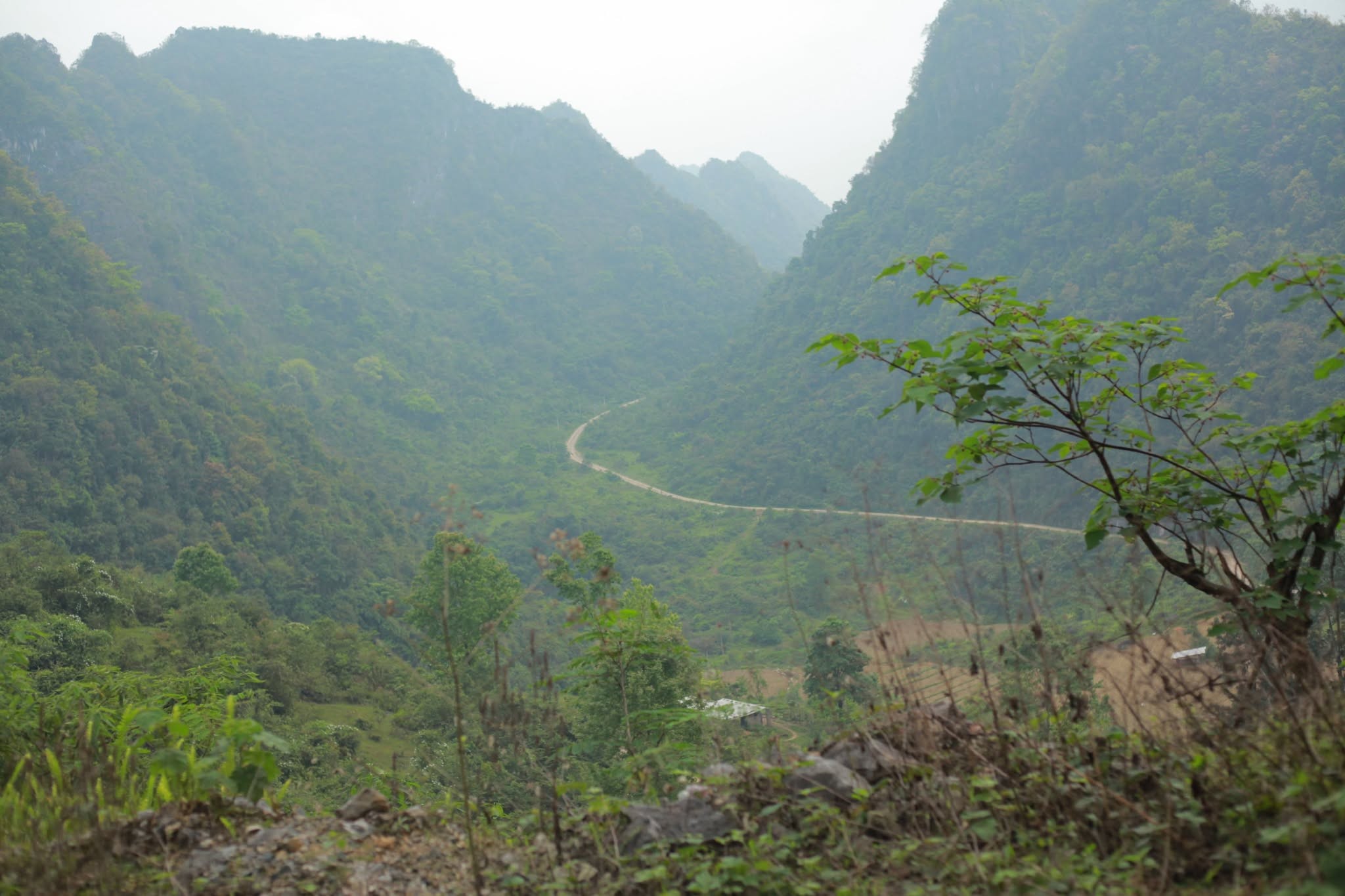 anh-3-con-duong-vao-ban-chua-co-he-thong-dien-luoi-1783729266.jpeg