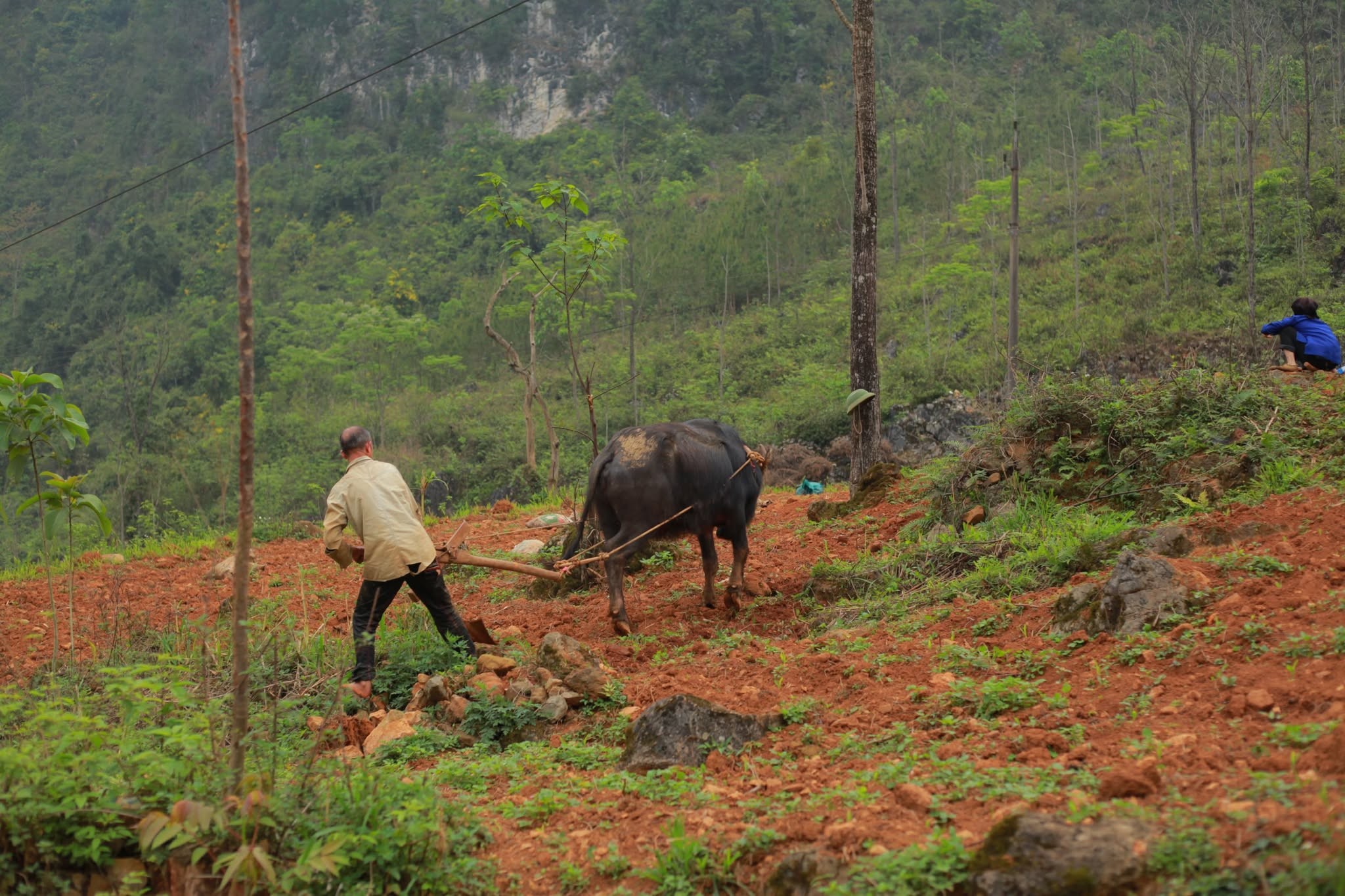 anh-5-dat-dai-kho-can-kho-canh-tac-1783729267.jpeg