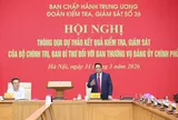 Thông qua quyết định của Bộ Chính trị, Ban Bí thư kiểm tra, giám sát với Đảng ủy Chính phủ