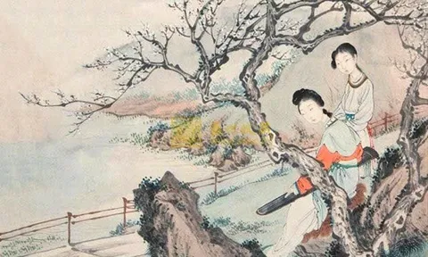 Lời răn Tứ đại họa