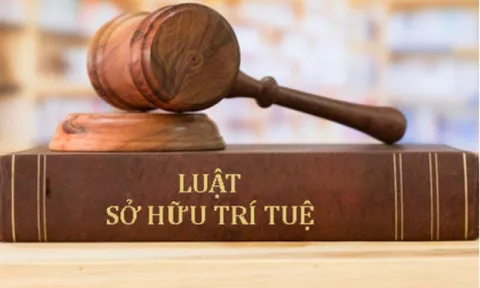 Những điểm mới của Luật Sở hữu trí tuệ