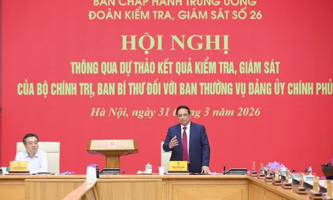 Thông qua quyết định của Bộ Chính trị, Ban Bí thư kiểm tra, giám sát với Đảng ủy Chính phủ