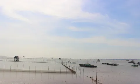 Ngao Giao Thủy vươn ra thế giới