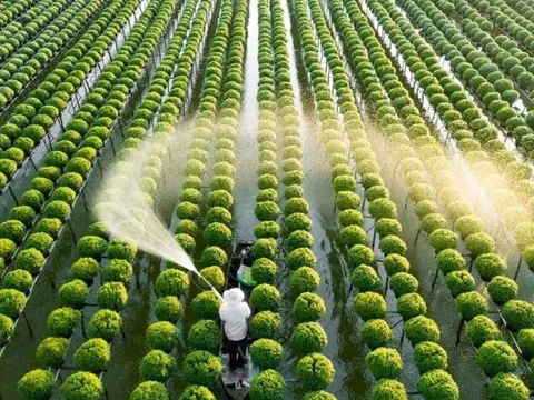 Nghị quyết mới của Chính phủ về nông nghiệp, nông dân, nông thôn: Đòn bẩy chiến lược thúc đẩy phát triển bền vững