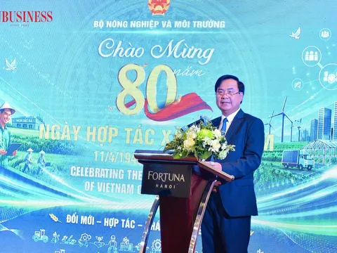 Hợp tác xã “giải bài toán” rủi ro khí hậu trong nông nghiệp