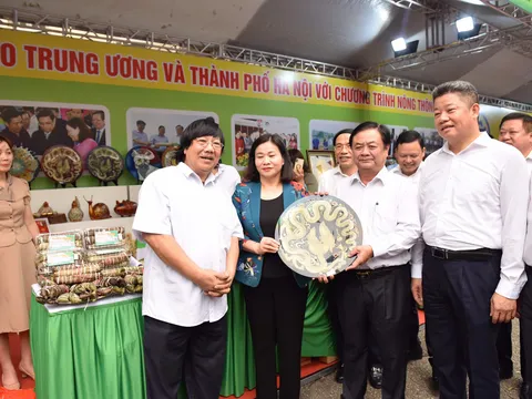 Từ “Vinh Kính” đến thương hiệu quốc tế Vinhcoba