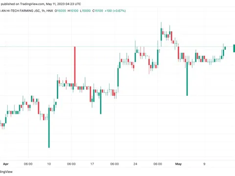 Chi phí lãi vay bào mòn lợi nhuận của Gạo Trung An